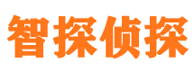 高阳外遇出轨调查取证